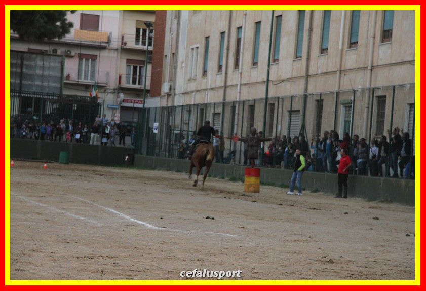 161106 equestre 052_tn.jpg
